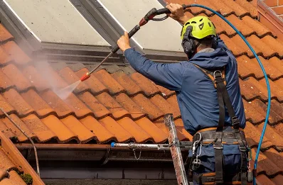 Démoussage et hydrofuge de toiture à Riscle
